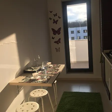 Apartmán Fresh Air And Forest